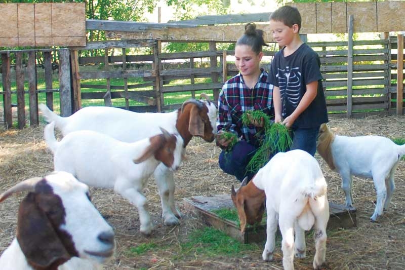 2 Horses, 6 Goats: Where Do We Go From Here?