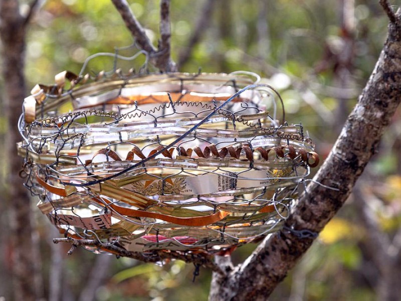 3rd Annual Wild Art Walk at Milburn Creek Conservation Area