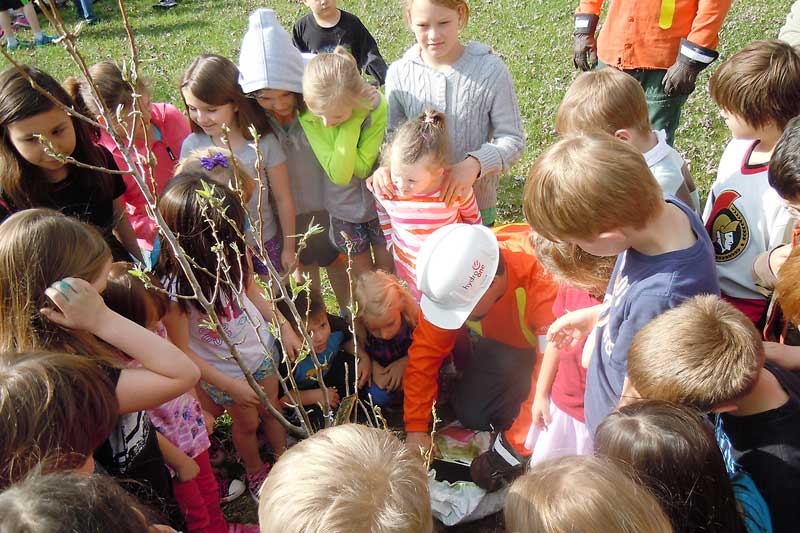 Arbour week at Land O' Lakes PS
