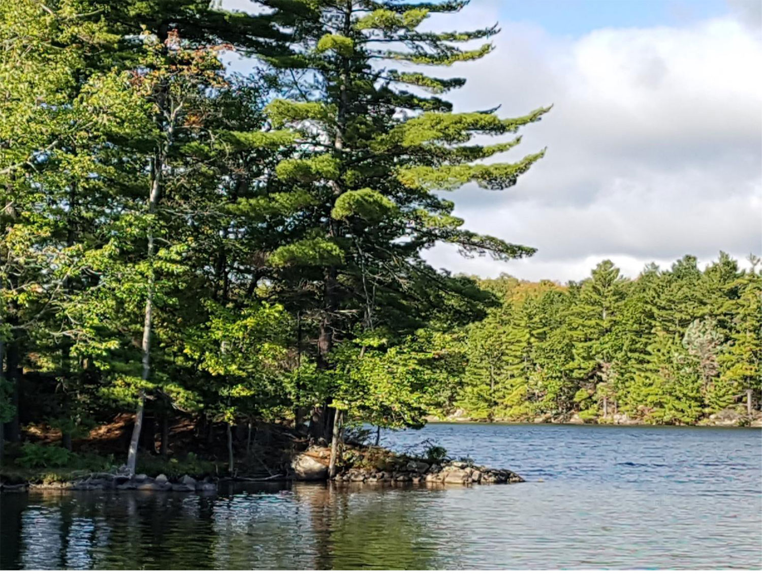 South Frontenac Adopts Climate Action Plan
