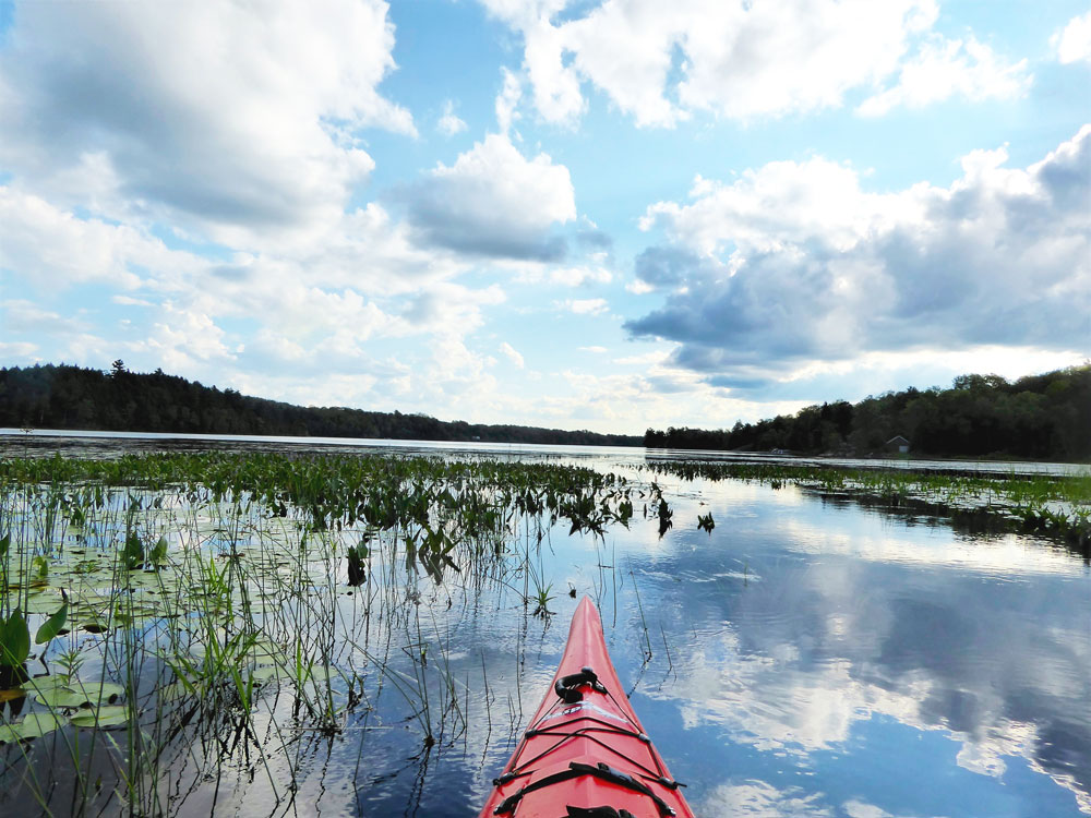 Discover and Celebrate the Salmon River Headwaters
