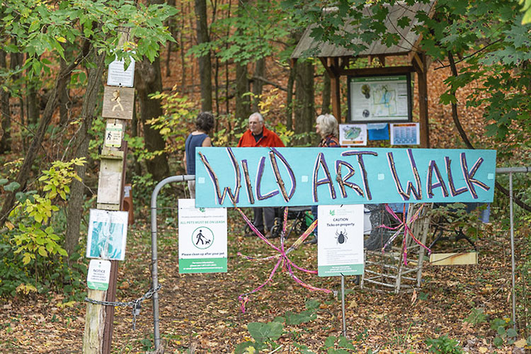 Wild Art Walk – Call For Participants