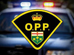Bodies Discovered During Police Pursuit