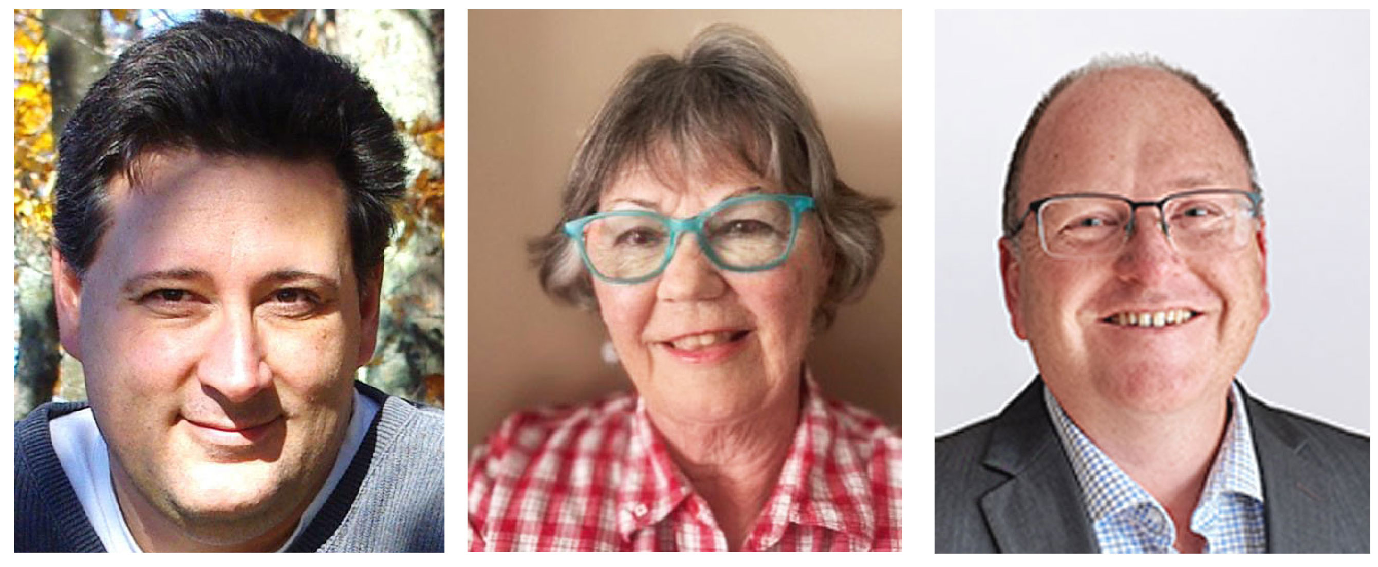 Central Frontenac Election, Hinchinbrooke (Ward 4)