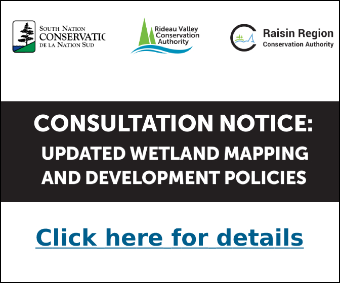 CONSULTATION NOTICE: UPDATED WETLAND MAPPING AND DEVELOPMENT POLICIES - Click for details