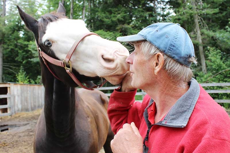 Bull attacks local petting farm owner