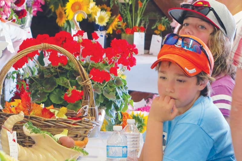 Come celebrate rural living at the Parham Fair - August 22 & 23