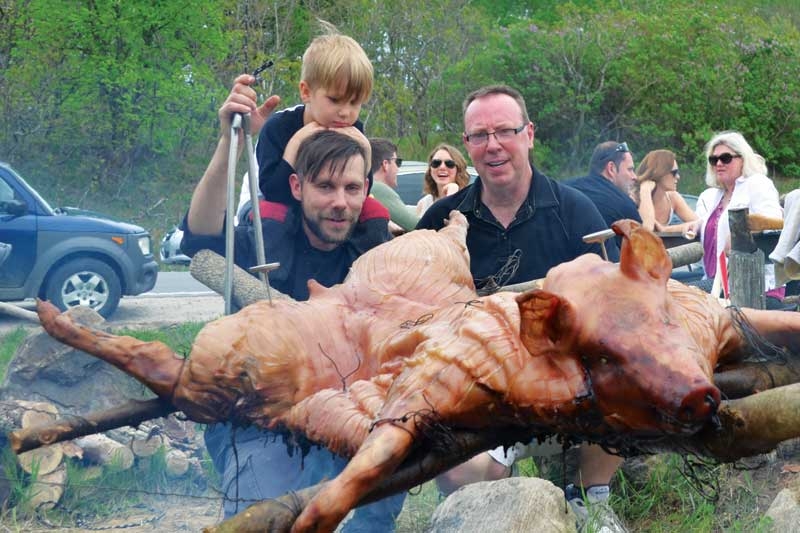Day of the Pig