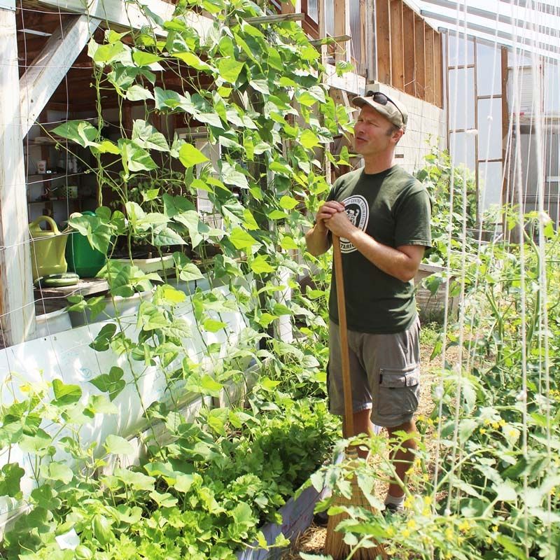 Food Bank Garden — a learning experience with other benefits