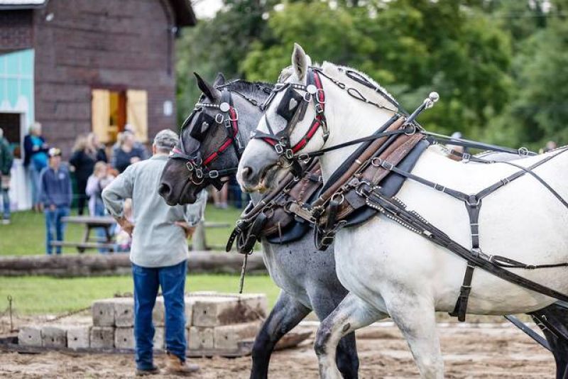 Ex Parham Fair Treasurer Charged With Theft After over  $18,000 Goes Missing