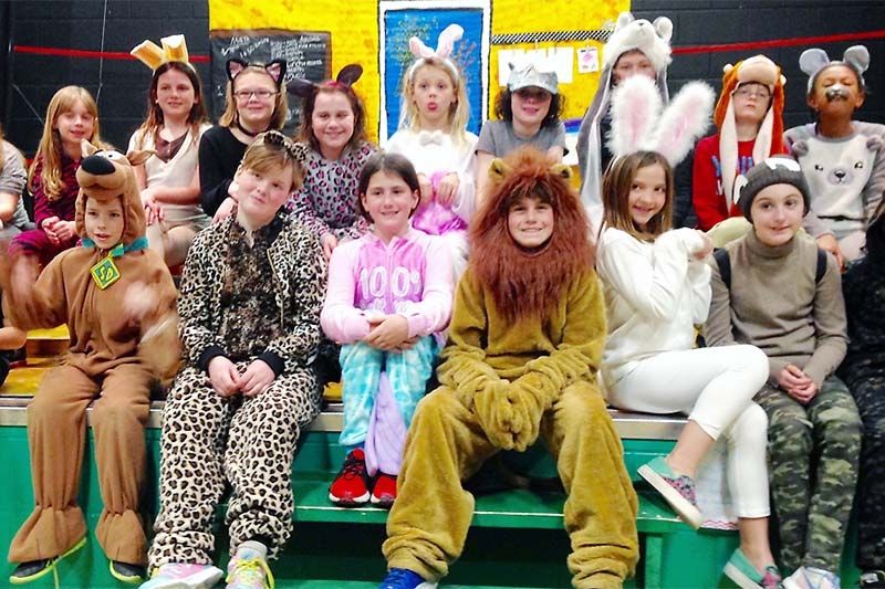 Animal Academy: an extraordinary play