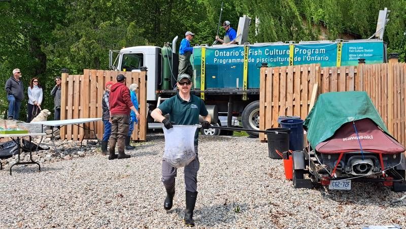 Trout Release A Community Effort On Loughborough Lake
