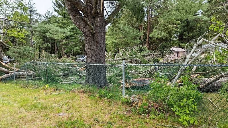 North Frontenac shows its strength in face of Derecho fall out