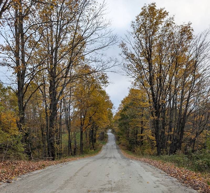 Muted Fall Colours, Fallout From September Warm Weather