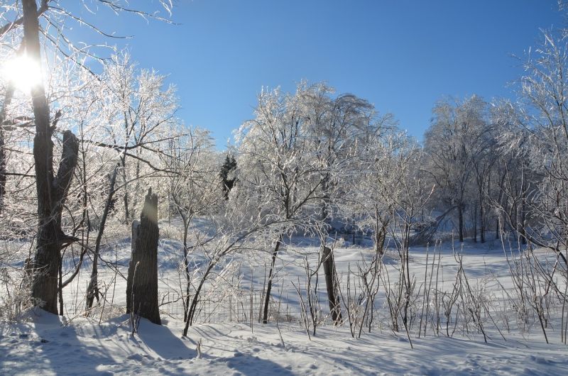 Sunshine after the storm