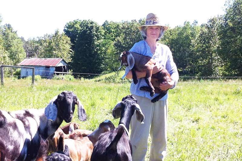 Heron's Pass Farm