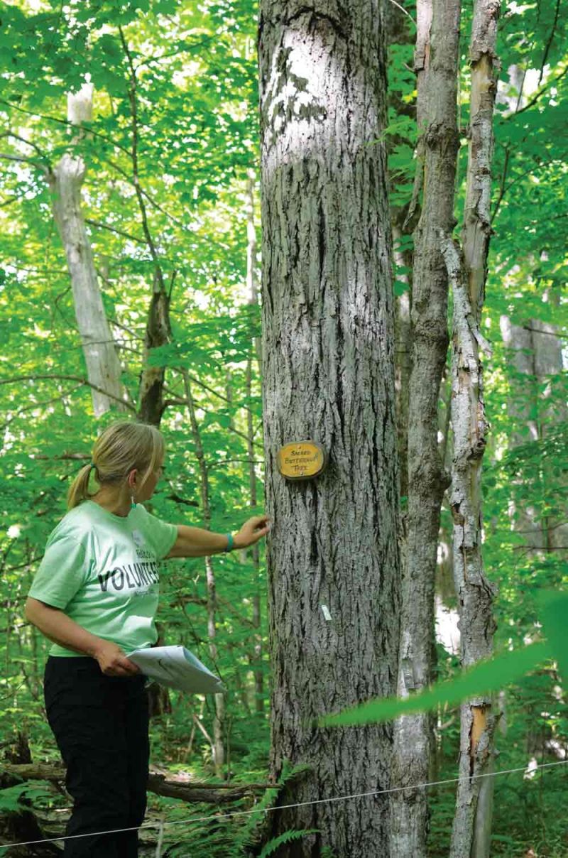 Virtual BioBlitz from Wintergreen Studios this weekend