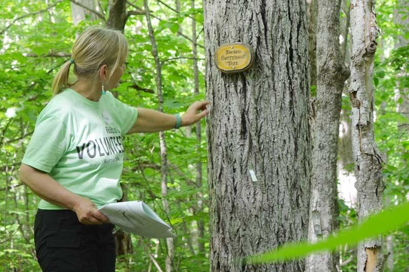 Wintergreen BioBlitz