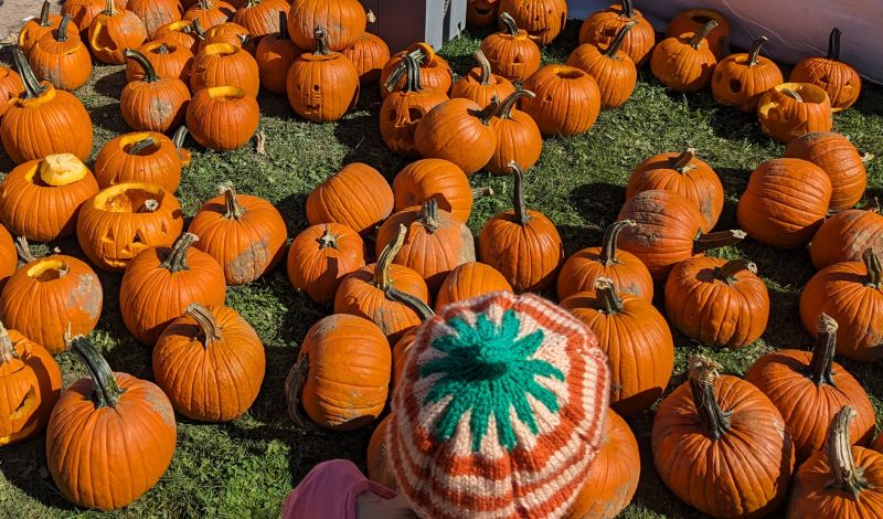 Battersea Pumpkin Festival This Saturday