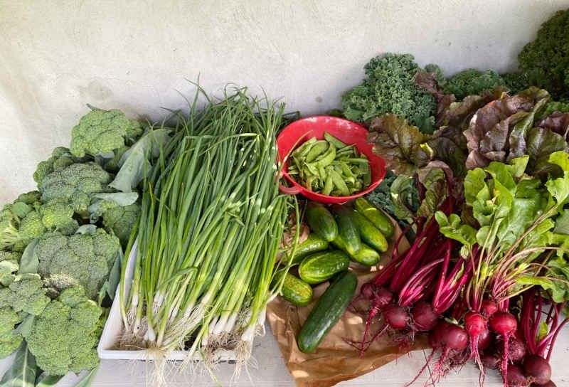 Local Farms