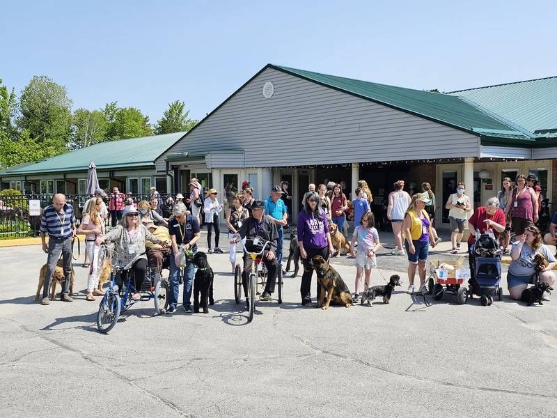 Guide Dog Walk Exceeds Expectations