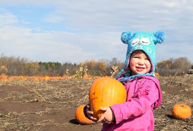 The Pumpkin Patch Adventure