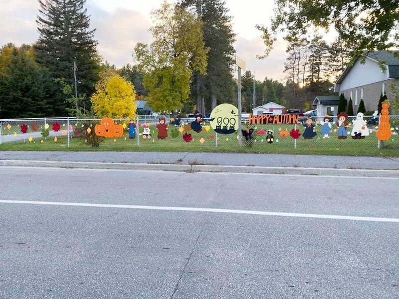 Lion's Fence Project heads into year 2 in Northbrook