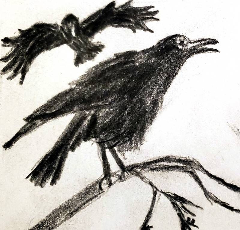 Eating Crow