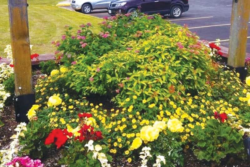 Land of Lakes Garden Club