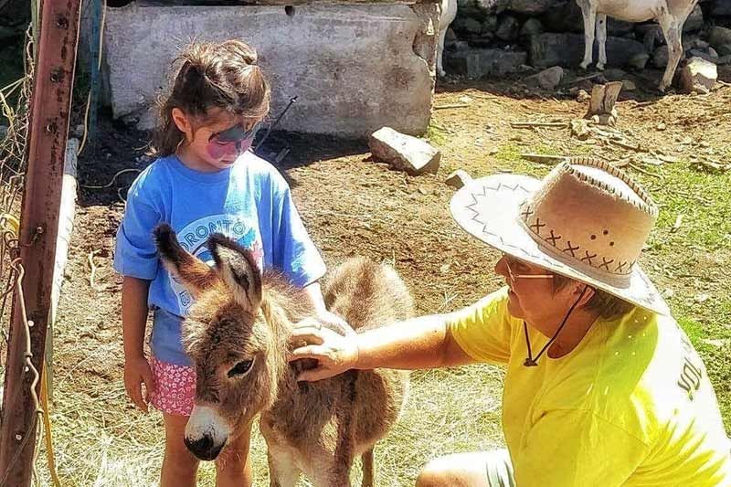 Tryon Family Farm Open House
