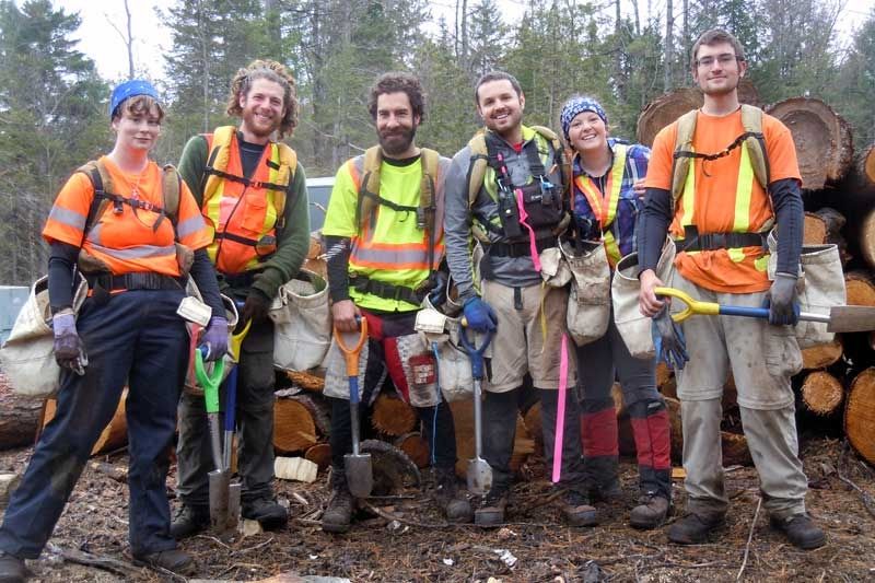 Maintaining The Mazinaw/Lanark Forest