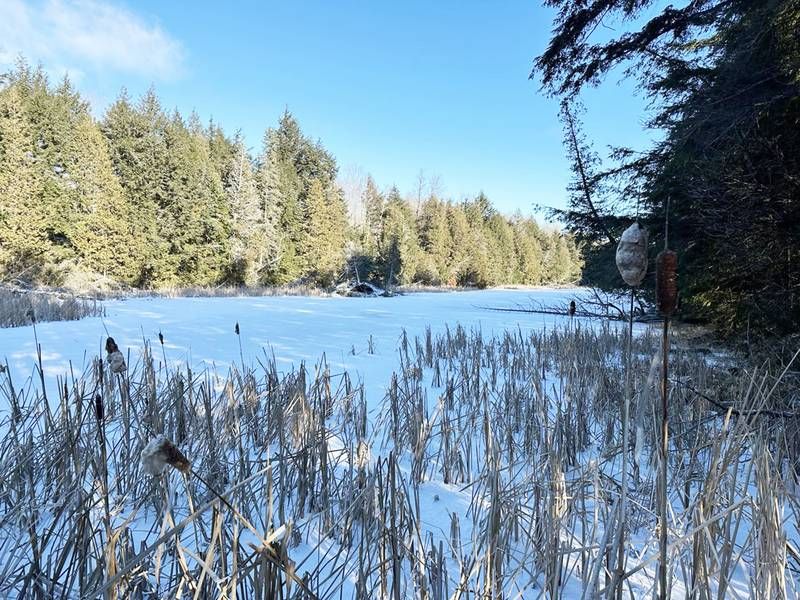 Local Land Trust Receives Fantastic Christmas Gift!
