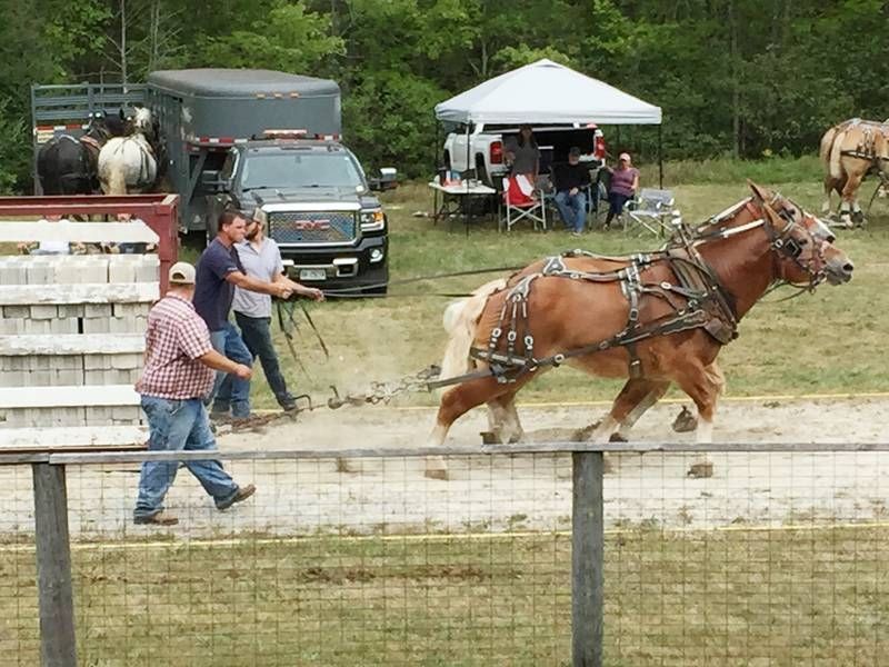 4H Beef Club & Horse Pull at Maberly Fairgrounds Aug. 28