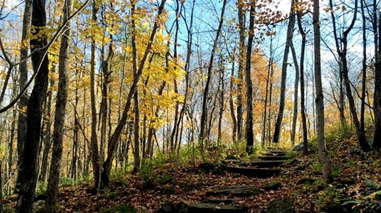 Frontenac challenge: challenge accepted!