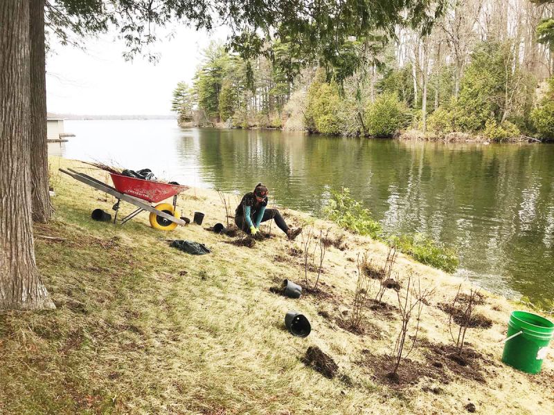 Natural Shorelines Work – So You Don’t Have To