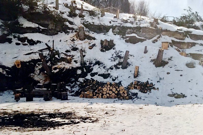 Planning, new committee, strat plan, littering and clear cuts: full agenda in South Frontenac