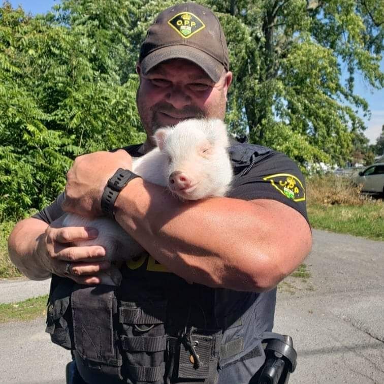 East Region OPP Showcase Officers A Day in the Life - PC Sean McCaffrey