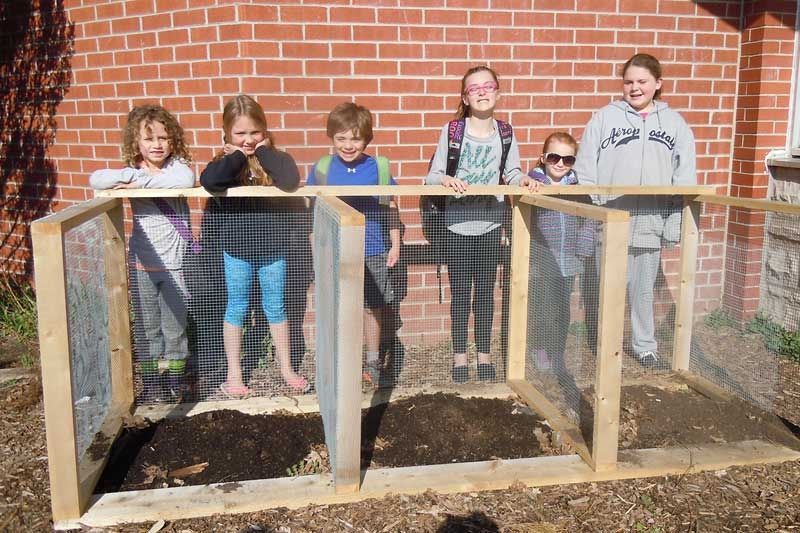 Greening the school yard at Loughborough PS