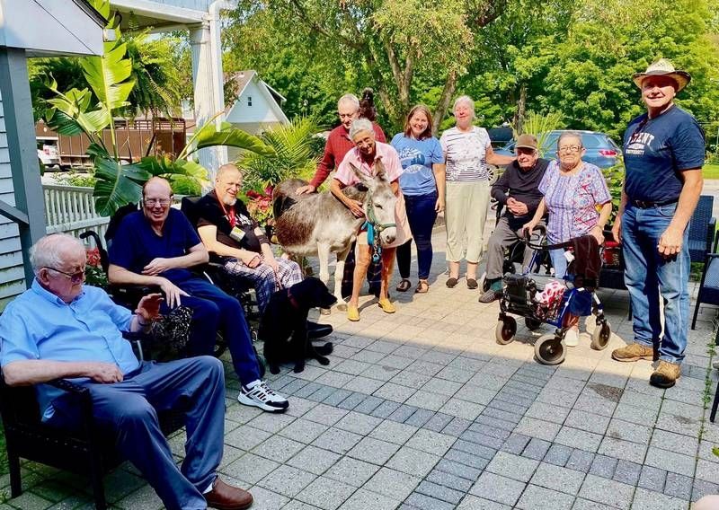 Donkey and Chicken Invasion Delights Seniors