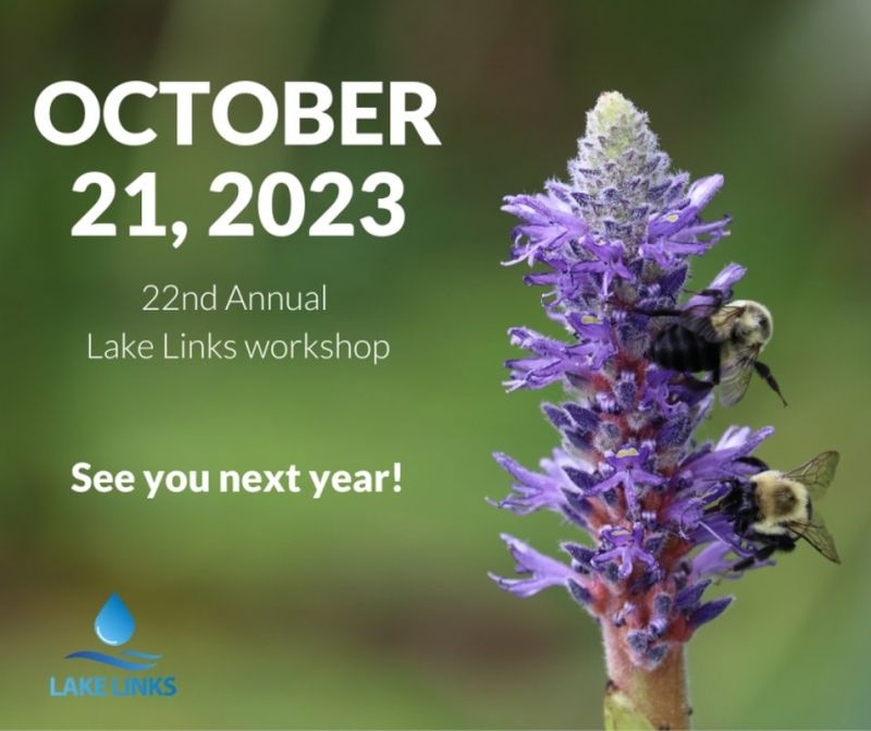 Third Online Conference, & Hopes For A Human Touch