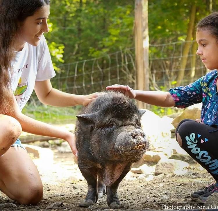 Happy Tails Farm Sanctuary