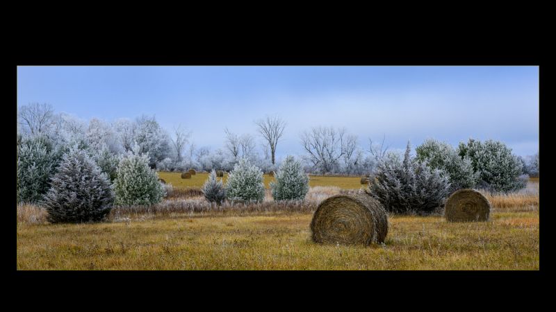 Between Seasons