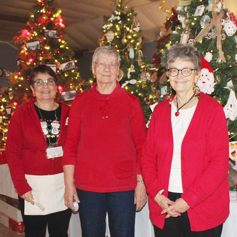 Festival of Trees supports a myriad of projects in Township