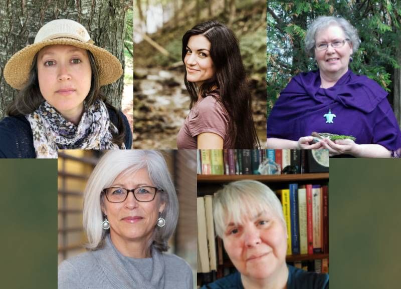 Forest Bathing comes to Wintergreen