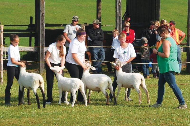 Maberly Fair gets a boost from 4H participation this year