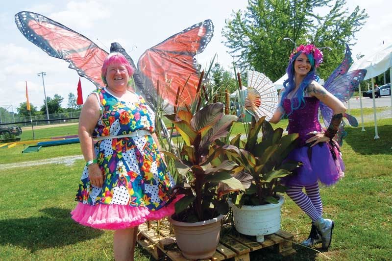 19th Annual Verona Cattail Festival