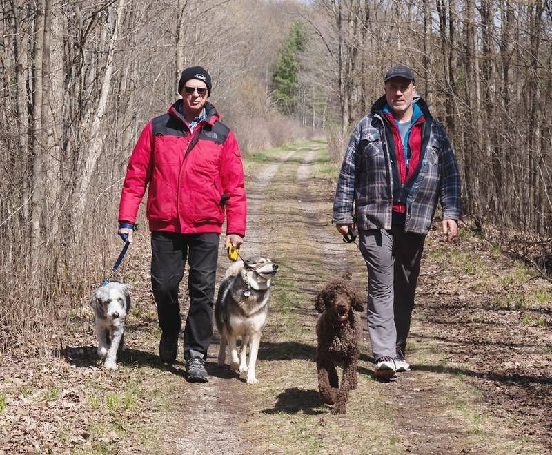 The Rideau Trail - A more rugged and natural alternative for hikers