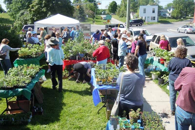 Planting seeds for a good cause