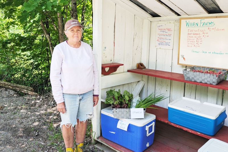 Mary-Ellen at the Whan Farms Farmstand, at 3345 Long Lake Road, near Mountain Grove