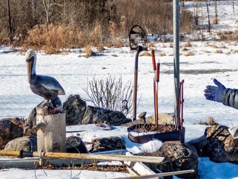 Frontenac Christmas Bird Count - 10 Years and Counting